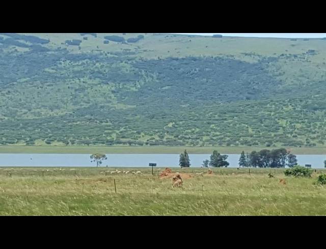 FARM FOR SALE IN LYDENBURG RURAL